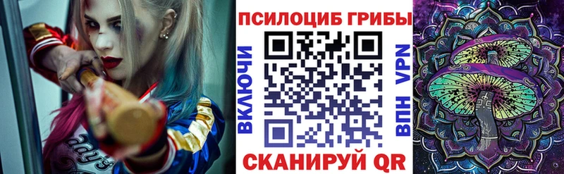 где продают наркотики Курчалой Псилоцибиновые грибы Magic Shrooms